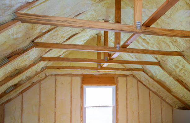 Best Insulation Contractors for Homes  in St Ansgar, IA