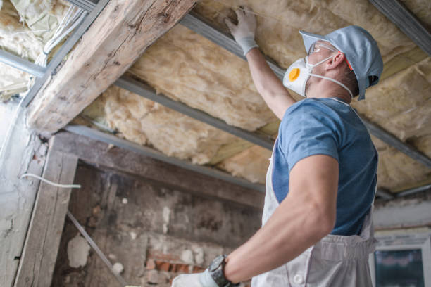 Best Insulation Replacement Services  in St Ansgar, IA