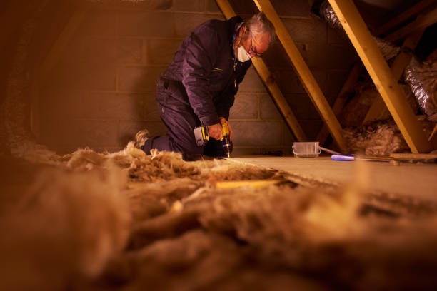 Best Blown-in Insulation  in St Ansgar, IA